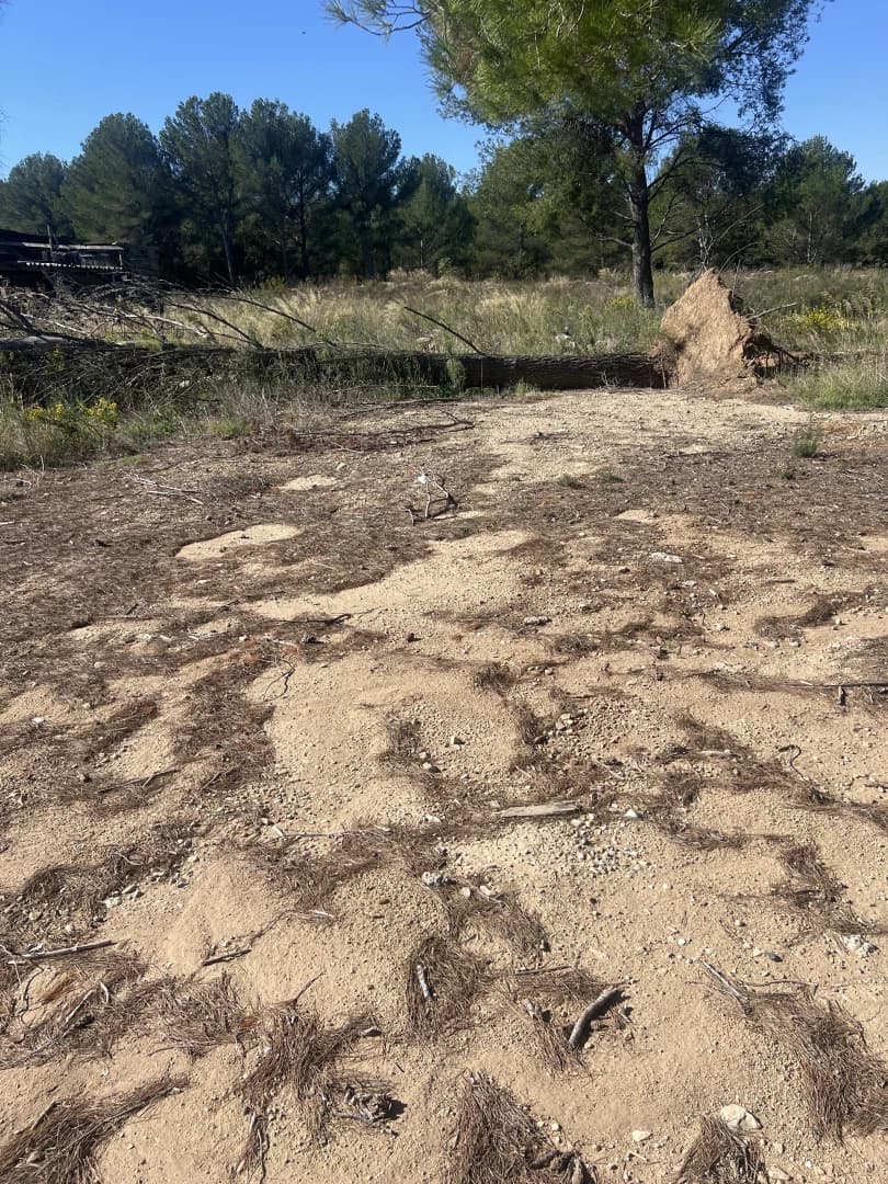 Photo des places Docky