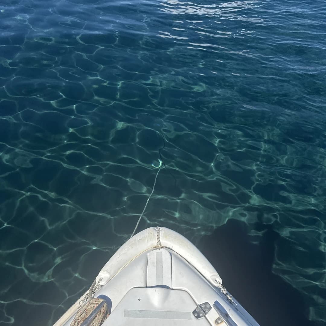 Photo des places Docky