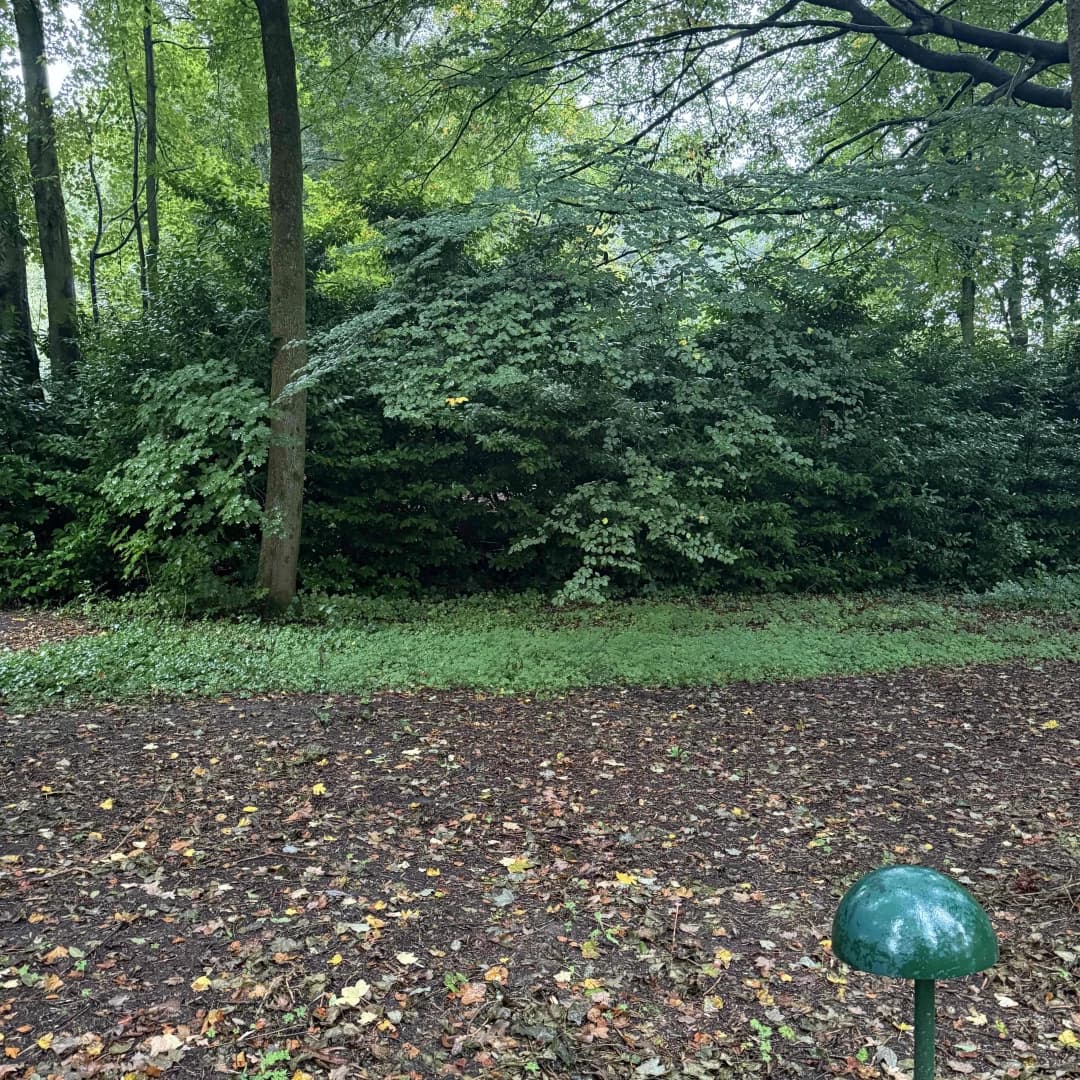 Photo des places Docky